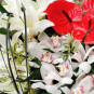 Ziedu sirds ar orhidejām un lilijām
